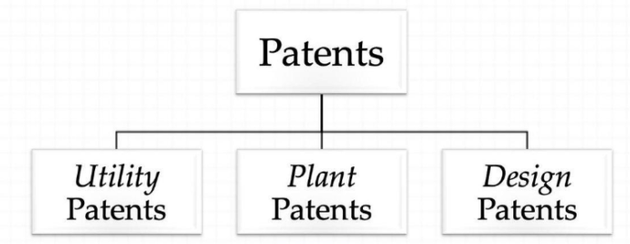 Types of Patent