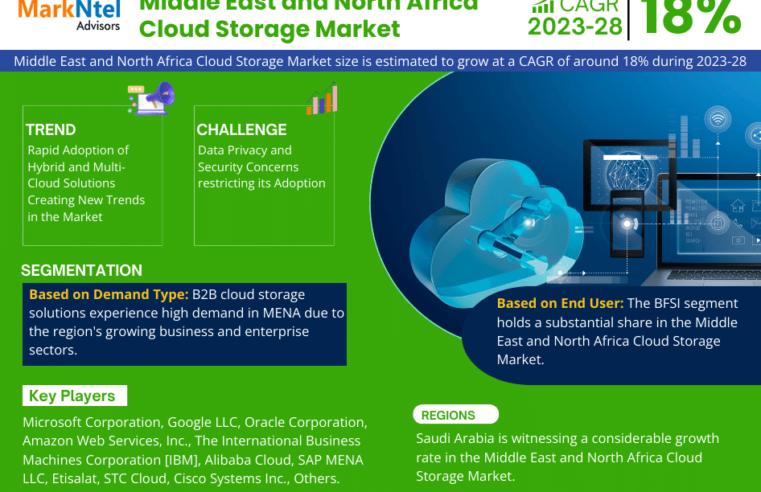 Middle East and North Africa Cloud Storage Market Report 2023-2028: Growth Trends, Demand Insights, and Competitive Landscape