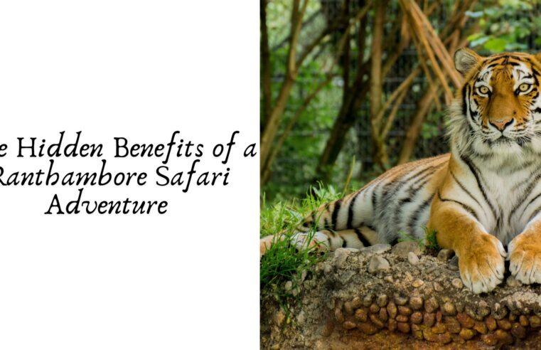 The Hidden Benefits of a Ranthambore Safari Adventure 