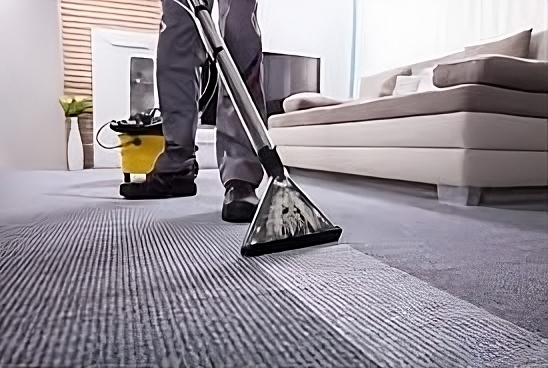 Why Professional Carpet Cleaning Services Are a Must for All Homes