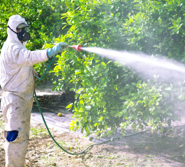 Fumigation Services in Islamabad and Pest Control Service