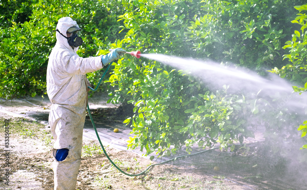 Fumigation Services in Islamabad and Pest Control Service