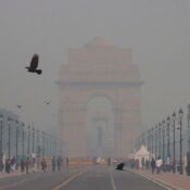 Delhi’s Hazardous Air Quality Key Focus At COP29