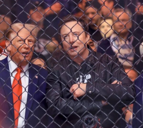 Watch: Donald Trump, Elon Musk In Front-Row Seats At UFC Event