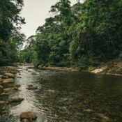 Biden Visits Amazon, The Jungle That Nearly Killed Teddy Roosevelt