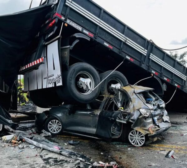 At Least 30 Killed In Brazil Bus And Truck Collision