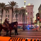 Driver Tried To Hit As Many People As Possible: Cops On New Orleans Attack